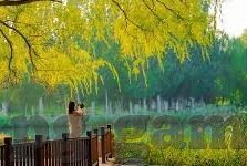 足球比分是88-当足球比分定格88，一场打破常规的数字狂欢与背后的故事